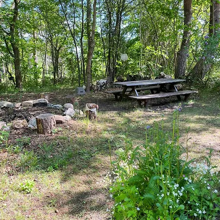 Idyllic Log Close To Forest And Kattegat Frederiksværk